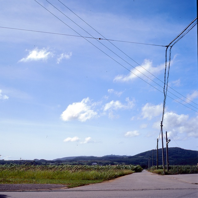 Sugar Cane Hills